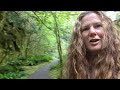 old growth forest walk near lake quinault