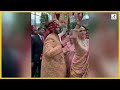 Celebrities Dance At Anant Ambani Wedding Baraat - Salman, Shahrukh, Rajinikanth, Priyanka, Ananya