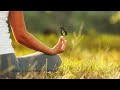 SELF FORGIVENESS INNER CHILD HEALING MEDITATION/DELTA FREQUENCIES