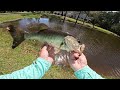 Fishing a Hidden Pond for MONSTER Bass! (Bed Fishing)