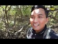 Pesona Kebun Raya Mangrove Surabaya