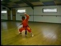 Shaolin zhen shan gun