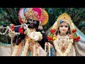 श्याम सुन्दर मेरे दिल मे बस गयो रे #bhajan