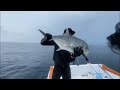 Giant Trevally - Hooked up!