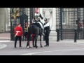 Guard gets Thrown Off His Horse Whilst The Queen Leaves Palace