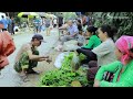 Full video 90 day From building the vegetable garden to harvesting vegetables to sell at the market