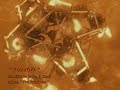 Takeoff - (NASA's Mars 2020 Perseverance Rover Landing Animations) - MONEEB An Artist & Sami