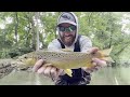 TROUT Fishing with JERKBAITS