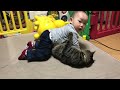 猫と赤ちゃんのプロレス・猫と赤ちゃんのハプニング　 Cat and baby wrestling ・ Cat and baby happenings