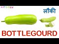 Vegetables Names - सब्जियों के नाम - Vegetables in Hindi and English