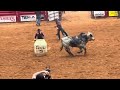 2024 Ike Stampede Rodeo Bull Riding