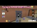 mm2 gameplay pt 3!( @vihanSuperdomainexpansion pls don't ask to always be in my video)