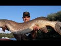 Rekord??😲 Lov na Živú Rybku 16 🐋😇 Lov Šťuky Štiky a Zubáča Candáta | Big Pike Fishing