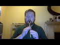 Tin Whistle: Raglan Road/Sean South of Garryowen