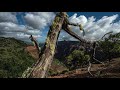 4k KAUAI AMAZING Cinematic Napali Coast Waimea Canyon  (SONY A7R iii drone time-lapse)