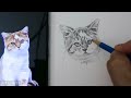 Drawing and Shading a Cat | Drawing Animals with Fur