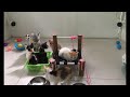 😆 IMPOSSIBLE TRY NOT TO LAUGH 😸 Best Funniest Catss Video 2024 🐕🐱