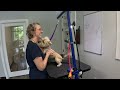 Toto the Cairn Terrier Gets Groomed