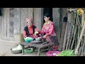 Two sisters harvest vegetables and fruits from the farm, and cook dishes from cabbage | Bếp Trên Bản