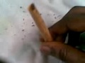 2007 HOW TO ROLL A BLUNT TIGHT!!!!!