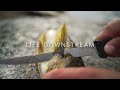 Life Downstream - Trailer