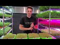 CRAZY Microgreen Density!! Broccoli Seed Density Experiment