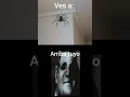 Mr Increible perturbado - (Versión arañas)