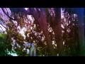 KBong - Into The Light (Lyric Video)