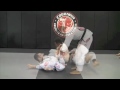 Cobrinha Brazilian Jiu Jitsu & Fitness- Alliance Los Angeles