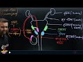 NEET 2025 Biology Human Reproduction | Manav Janan | मानव जनन | L - 3 | Parth Sir #neet2025biology