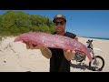 Giant Tuna (CATCH and COOK) - A Motobike Fishing Mission