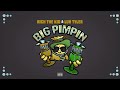 Rich The Kid - Big Pimpin' (Visualizer) ft. Luh Tyler