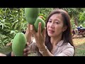 Malaysia's Young Farmers Venture Into Agriculture With Premium Tropical Fruits | CNA Correspondent