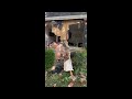 Charlotte, NC Shootout Up Close And Personal From Neighbors Backyard (Full Live)