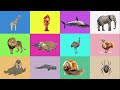 Animals Guess Game | Giraffe Lobster Shark Elephant Lion Platypus Emu Turkey Walrus Sperm Whale