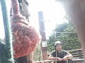 LATINO DIES FROM ZIPLINE ACCIDENT AT HAWAII (RAW FOOTAGE)