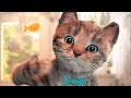 Play Fun Pet Costume Dress-Up Party Kitten Games - Little Kitten Adventures By Fox & Sheep Kids Game