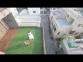 890 sq.ft. | Super-Compact House in Vadodara | 'Cube House' by Komil Patel & Associates (Home Tour).