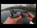 Erfolgreich mit Gummiköder auf Forelle hier in Angelsee Oker