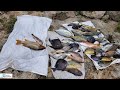 hunting 🐠 in bad current at sea  catch clean and cook with YouTubers and subscribers link up