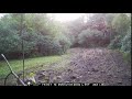 Spartan Deer Cam 9-1-21