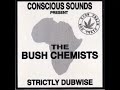 Dub To Selassie / Bush Chemists