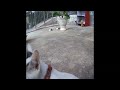 🤣😂 Best Cats and Dogs Videos 😹😍 Best Funny Animals 2024 #15