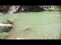 serpme ile siraz balık avı #magnet fishing around the river, got a lot of fish