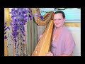 Bridgerton Theme (Bridgerton / Kristopher Bowers) Harp Cover - The Michigan Harpist