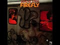 Jeremy Steig - Firefly (Loop Version)