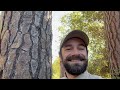 The Sandhills Extension of Henry Cowell Redwoods State Park