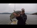 Fishing For Dinner! Catch LOADS Of Catfish With This Unique Technique!!!