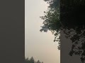 hazy canadian haze