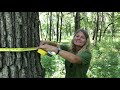 How to Measure Tree Diameter